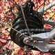 The rear wheel does not have a chain derailleur system. The gears are contained within the hub. (Image: Gizmodo / Michael Nunez)